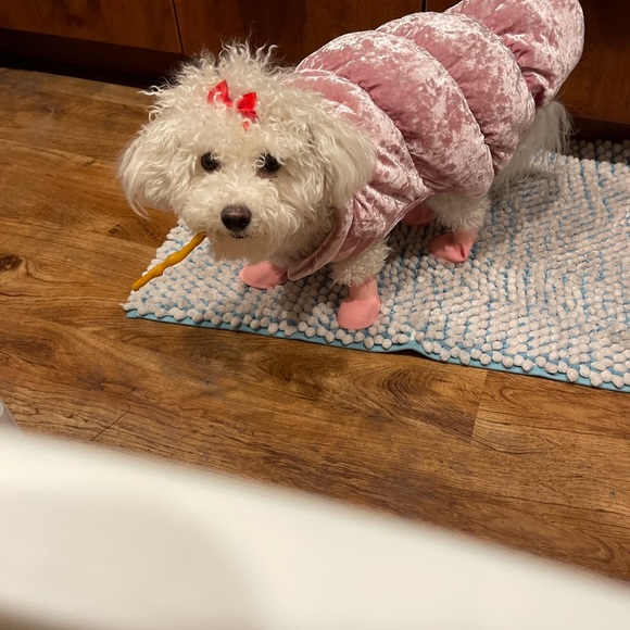 Meet your Posher, Kimberly. - Picture 5 of 5